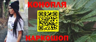 гашик Тверь