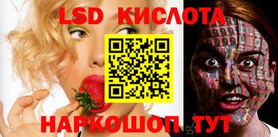 гашик Тверь