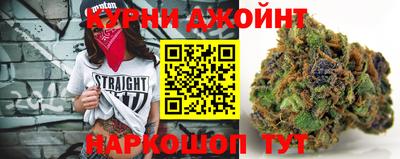 гашик Тверь