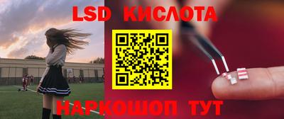 гашик Тверь