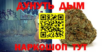 гашик Тверь