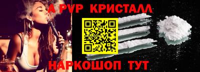 гашик Тверь