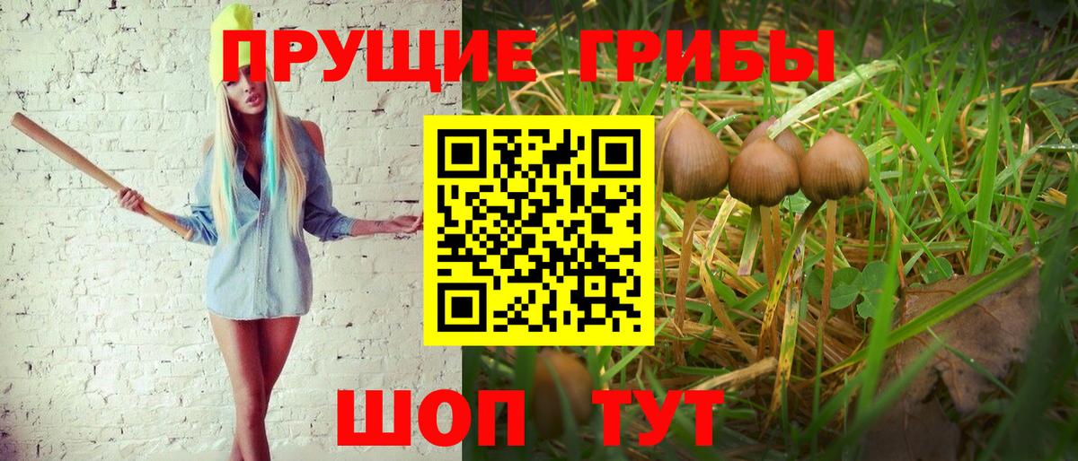 Галлюциногенные грибы прущие грибы  Вход с VPN  Ноябрьск 